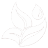 Logo: Blätter und Tropfen, Natur-Symbol
